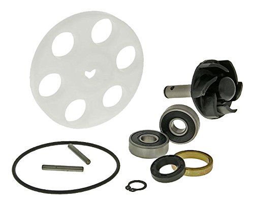 Reparaturkit Wasserpumpe für Minarelli LC Reparaturkit Wasserpumpe für Minarelli LC von Unbekannt