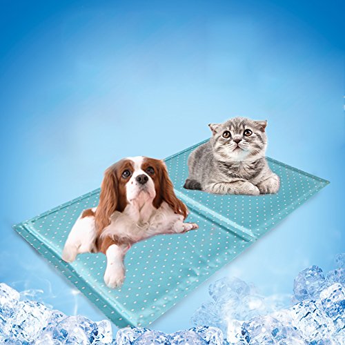Unbekannt Pro Pet Self-Matte mit Gel-Pad, Sommer, Kissen für Hunde und Katzen von Unbekannt