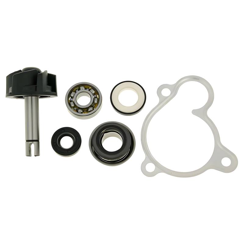 Vicma 8430525080034 Wasserpumpe Reparatursatz für Majesty, X-Max, X-City, Versity 250 von Lupsty