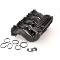 Krümmer VAICO V30-1404 Krümmer VAICO V30-1404 von Vaico