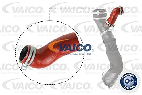 VAICO V25-1032 Ladeluftschlauch von VAICO