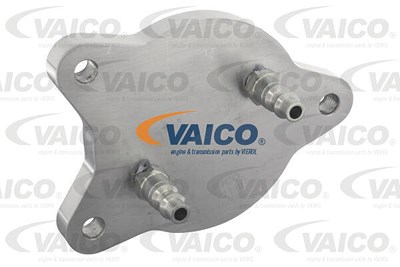 Vaico Befülladapter, Getriebe [Hersteller-Nr. V99-1149] von VAICO