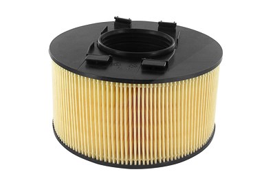 Vaico Luftfilter [Hersteller-Nr. V20-8136] für BMW von VAICO