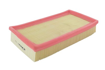 Vaico Luftfilter [Hersteller-Nr. V46-0556] für Renault von VAICO