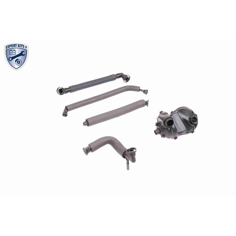Vaico Reparatursatz f?r Kurbelgeh?use BMW 3er 5er 7er X3 X5 Z3 Z4 Vaico Reparatursatz f?r Kurbelgeh?use BMW 3er 5er 7er X3 X5 Z3 Z4 von VAICO