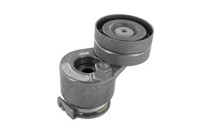 Vaico Spannrolle, Keilrippenriemen [Hersteller-Nr. V46-0318] für Renault von VAICO