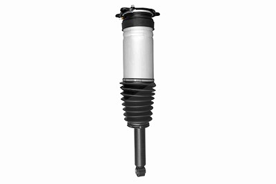 Vaico Stoßdämpfer [Hersteller-Nr. V58-0284] für Tesla von VAICO