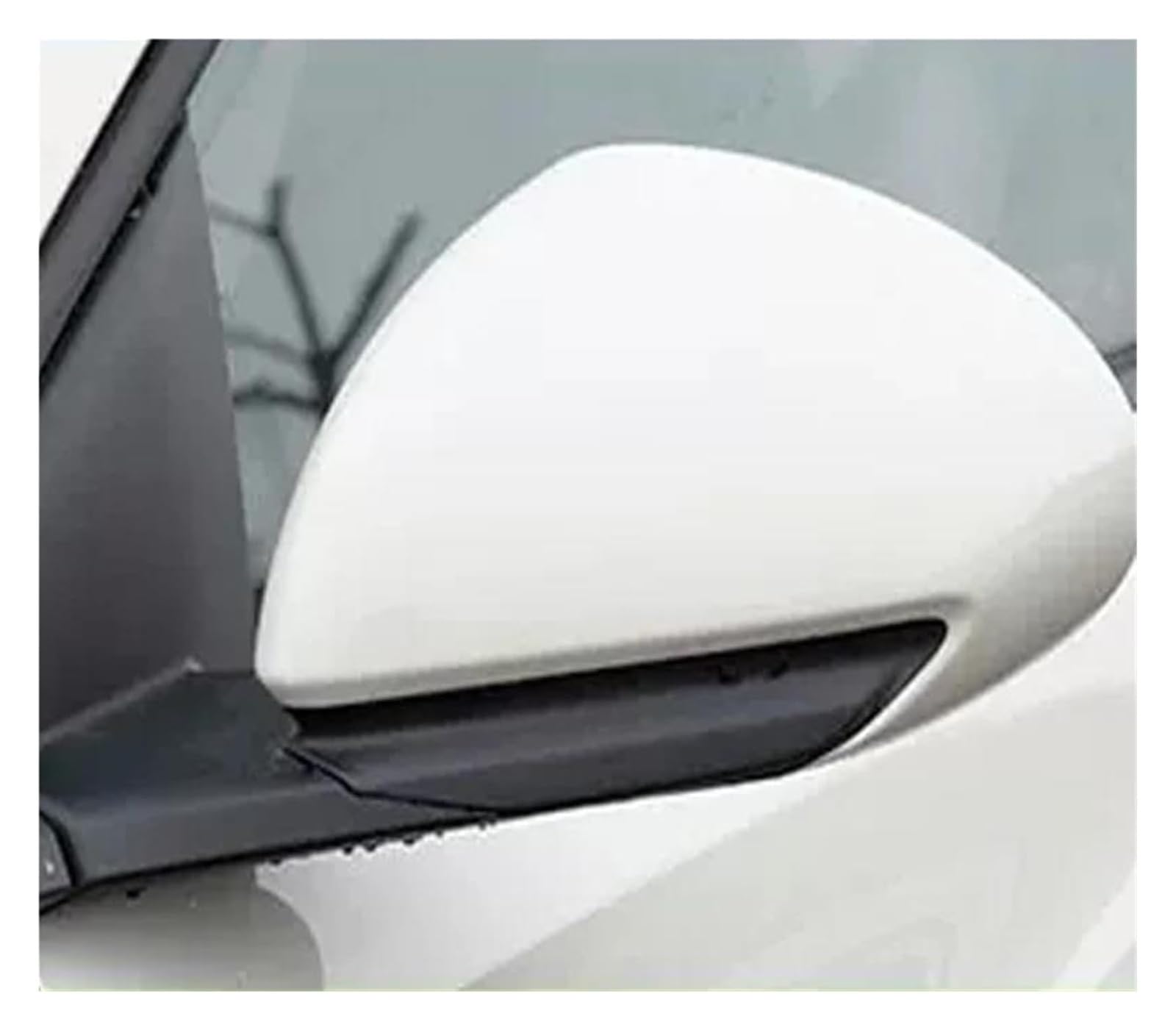 Außenspiegel Komplett Für BYD Für Seagull Für Dolphin Für Mini 2023 2024 Automobil Modifikation Rückspiegel Montage Links Rechts Rückspiegel(35507) von VALCRIBY