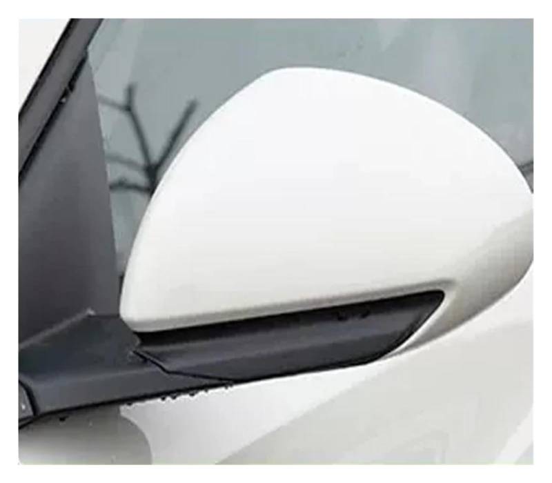 Außenspiegel Komplett Für BYD Für Seagull Für Dolphin Für Mini 2023 2024 Automobil Modifikation Rückspiegel Montage Links Rechts Rückspiegel(35507) von VALCRIBY