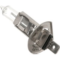 VALEO Glühlampe, Fernscheinwerfer Halogen 032003 VW,AUDI,MERCEDES-BENZ,Golf IV Schrägheck (1J1),POLO (9N_) VALEO Glühlampe, Fernscheinwerfer Halogen 032003 VW,AUDI,MERCEDES-BENZ,Golf IV Schrägheck (1J1),POLO (9N_) von VALEO