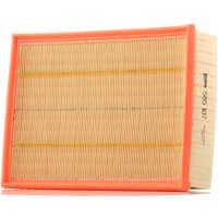 VALEO Luftfilter Filtereinsatz 585107 Motorluftfilter,Filter für Luft VW,Transporter IV Bus (70B, 70C, 7DB, 7DK, 70J, 70K, 7DC, 7DJ) VALEO Luftfilter Filtereinsatz 585107 Motorluftfilter,Filter für Luft VW,Transporter IV Bus (70B, 70C, 7DB, 7DK, 70J, 70K, 7DC, 7DJ) von VALEO