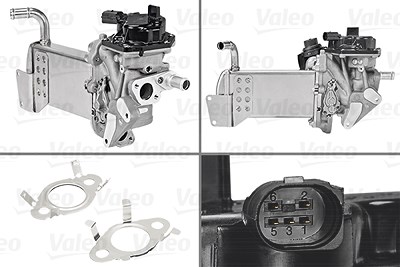Valeo AGR-Ventil [Hersteller-Nr. 700438] für VW von VALEO