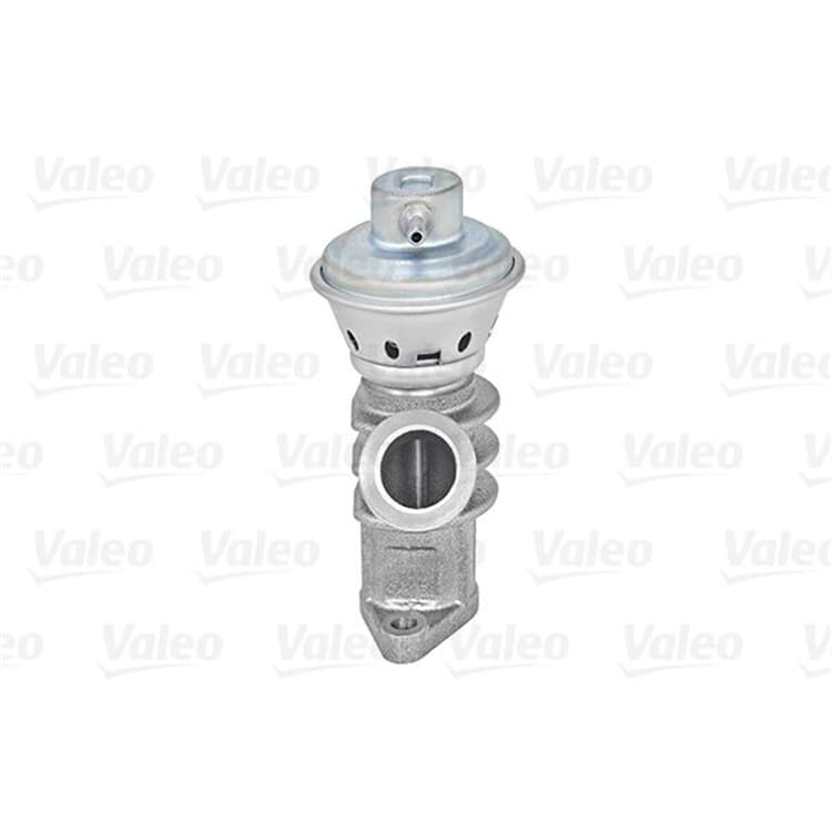 Valeo AGR-Ventil Citroen Fiat Lancia Peugeot von VALEO