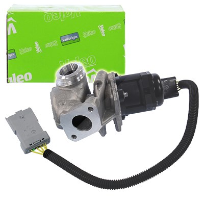 Valeo AGR Ventil [Hersteller-Nr. 700412] für Ford, Volvo von VALEO