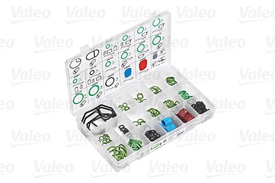 Valeo O-Ring-Reparaturset [Hersteller-Nr. 509196] von VALEO