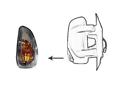 Van Wezel Blinkleuchte [Hersteller-Nr. 3799920] für Nissan, Opel, Renault von VAN WEZEL