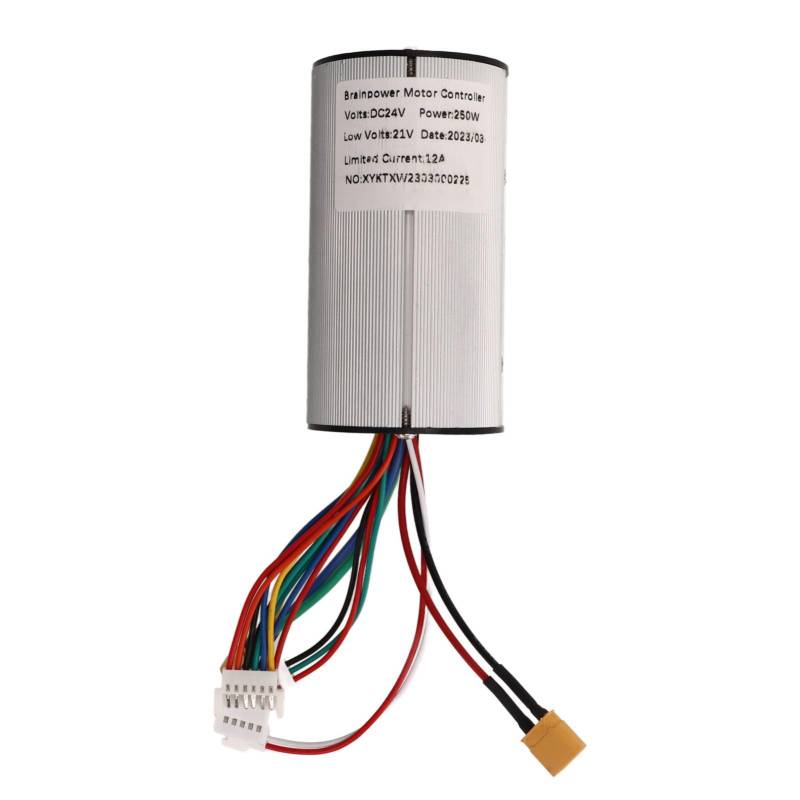 VAYEODEYU Gleichstrommotor-Drehzahlregler, 24v 250w Elektroroller-Controller Effiziente Wärmeableitung Stabile Geschwindigkeit Aluminiumlegierungsschale von VAYEODEYU