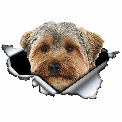 VCHSH Yorkshire Terrier Schöne Haustier Hund Auto Aufkleber wasserdichte Aufkleber Motorrad Autozubehör Dekoration PVC, 13 cm * 12 cm Auto-Styling-Aufkleber (Color Name : Style B) von VCHSH