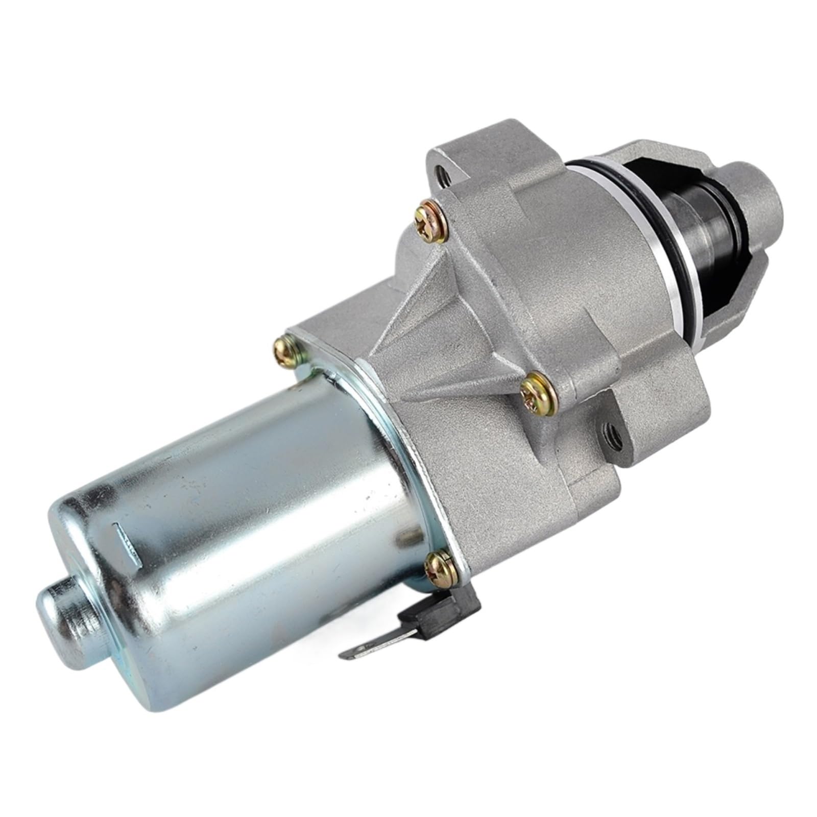 Anlasser kompatibel mit Katrina AM6 CRE 50 CRE50 RR Motor kompatibel mit MBK XPS SM XR6 Xr7 und 50 X-Power kompatibel mit Rieju RS1 Rs2 SMX 50 Anlasser kompatibel mit Katrina AM6 CRE 50 CRE50 RR Motor kompatibel mit MBK XPS SM XR6 Xr7 und 50 X-Power kompatibel mit Rieju RS1 Rs2 SMX 50 von VCYESMUEA