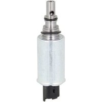 Element, Common-Rail Pumpe VDO A2C53259841Z von VDO