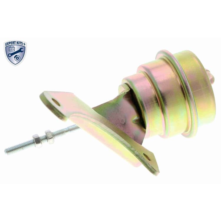 Vemo Steuerdose f?r Lader Audi A3 Seat Leon Skoda Octavia VW Bora Golf New Vemo Steuerdose f?r Lader Audi A3 Seat Leon Skoda Octavia VW Bora Golf New von VEMO