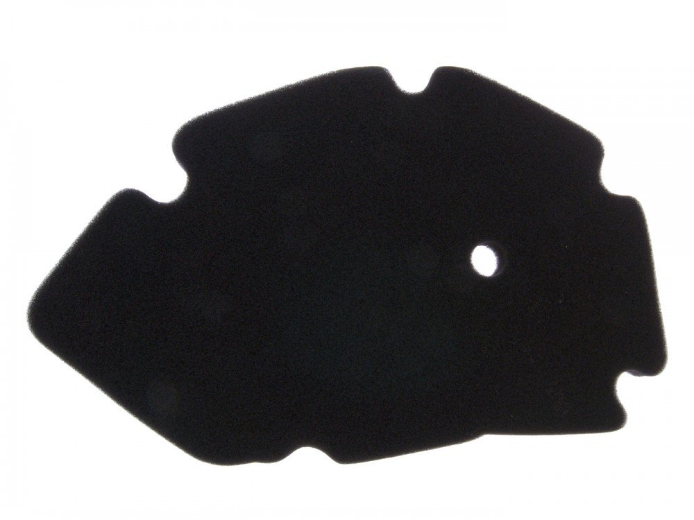Luftfilter Einsatz für Gilera DNA, VX, VXR, Piaggio X9 Luftfilter Einsatz für Gilera DNA, VX, VXR, Piaggio X9 von Vicma