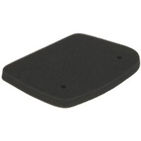 Luftfilter VICMA VIC-9172 Luftfilter VICMA VIC-9172 von Vicma