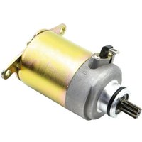 Starter VICMA 15607 Starter VICMA 15607 von Vicma