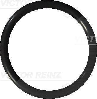 Victor Reinz Dichtring, Ölablassschraube [Hersteller-Nr. 40-76041-20] für Chevrolet, Daewoo, Holden, Opel, Saab, Suzuki, Vauxhall von VICTOR REINZ