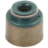 Dichtring, Ventilschaft REINZ 70-54071-00 von Reinz