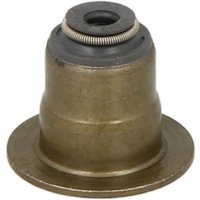 Dichtring, Ventilschaft REINZ 70-54206-00 von Reinz