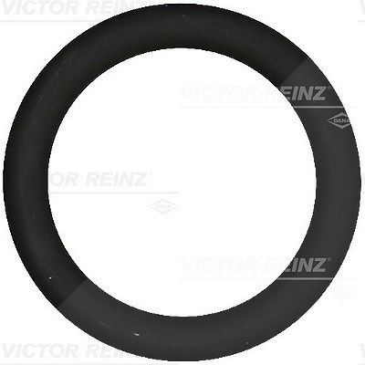 Victor Reinz Dichtung, Ansaugkrümmer [Hersteller-Nr. 40-76919-00] für Citroën, Ford, Mazda, Mini, Peugeot, Suzuki, Volvo von VICTOR REINZ