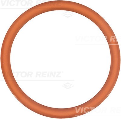 Victor Reinz Dichtung, Ansaugkrümmer [Hersteller-Nr. 71-35247-00] für Citroën, Fiat, Peugeot von VICTOR REINZ