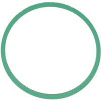 Dichtung, Ansaugkrümmer REINZ 71-39303-00 Dichtung, Ansaugkrümmer REINZ 71-39303-00 von Reinz