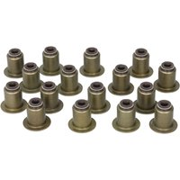 Dichtungssatz, Ventilschaft REINZ 12-38539-01 Dichtungssatz, Ventilschaft REINZ 12-38539-01 von Reinz