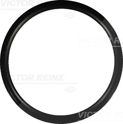 Victor Reinz Dichtung, Ansaugkrümmer [Hersteller-Nr. 40-76752-00] für Alpine, Citroën, Peugeot, Renault, Volvo von VICTOR REINZ