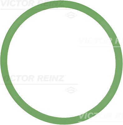 Victor Reinz Dichtung, Ansaugkrümmer [Hersteller-Nr. 71-37599-00] für Audi von VICTOR REINZ
