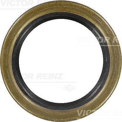 Victor Reinz Wellendichtring, Kurbelwelle [Hersteller-Nr. 81-21087-10] für Lada, Lancia von VICTOR REINZ