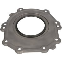 Wellendichtring, Kurbelwelle REINZ 81-90069-00 von Reinz