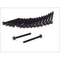 Zylinderkopfschraubensatz REINZ 14-32063-01 Zylinderkopfschraubensatz REINZ 14-32063-01 von Reinz