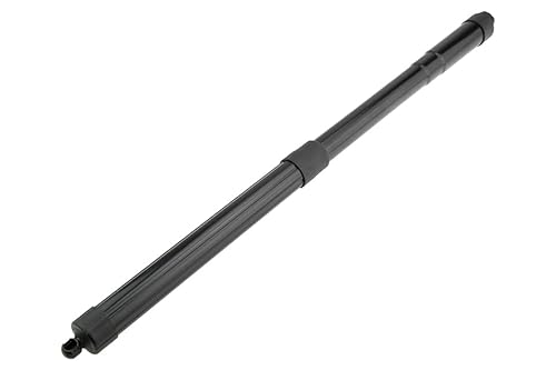 Gasfeder Kofferraum Laderaum rechts kompatibel mit Honda Pilot 16- AE-HD-027 von VIDARR