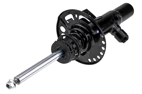 Stoßdämpfer vorne rechts kompatibel mit BMW X3 30EX XDRIVE Hybridstecker 20- A-BM-060 Stoßdämpfer vorne rechts kompatibel mit BMW X3 30EX XDRIVE Hybridstecker 20- A-BM-060 von VIDARR