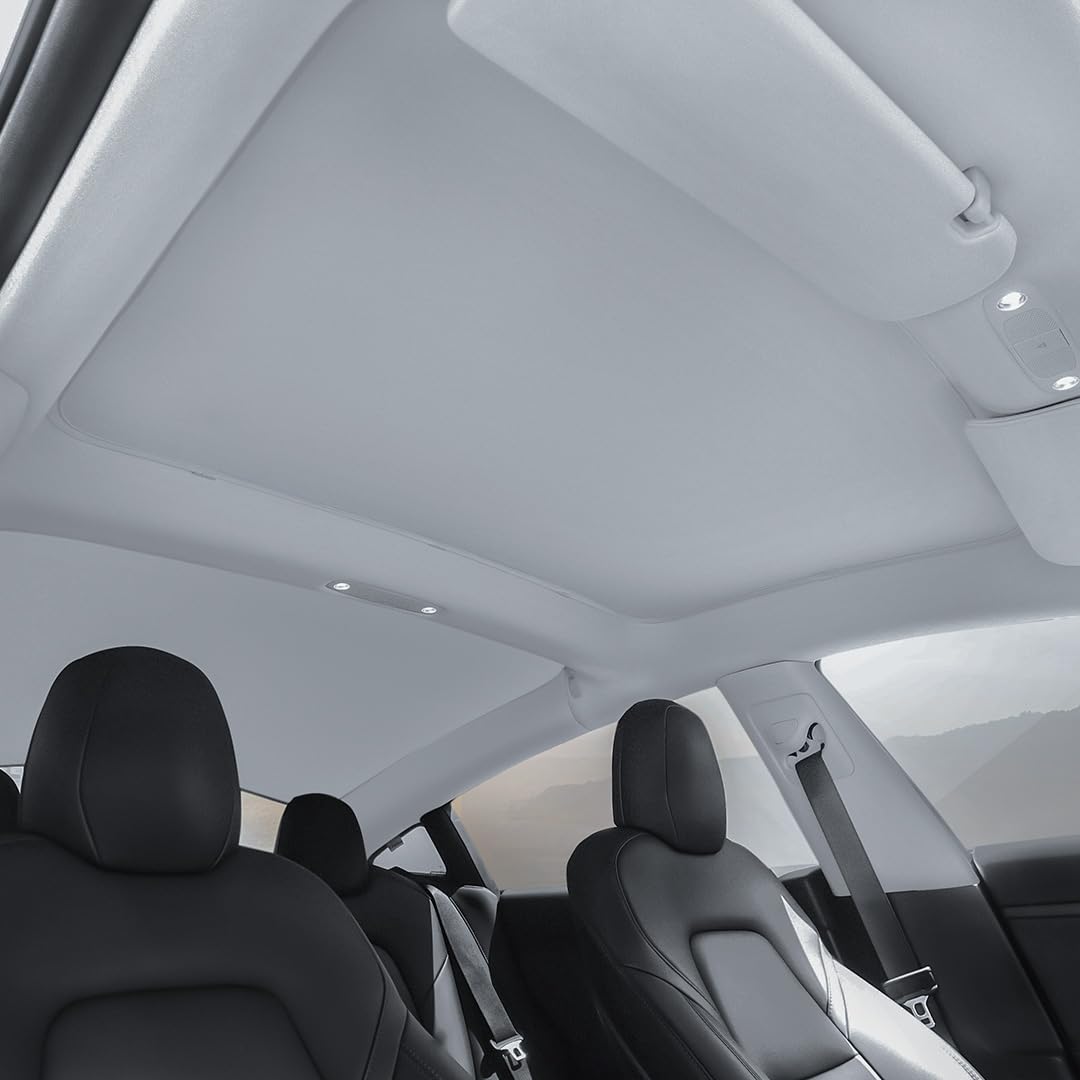 VION Tesla 2023-2021 Model 3 Dachsonnenschutz - Passgenau, vollständige Verdunkelung (Nur Kompatibel mit dem Model 3 2023-2021 aus der Shanghai/China-Fabrik) von VION