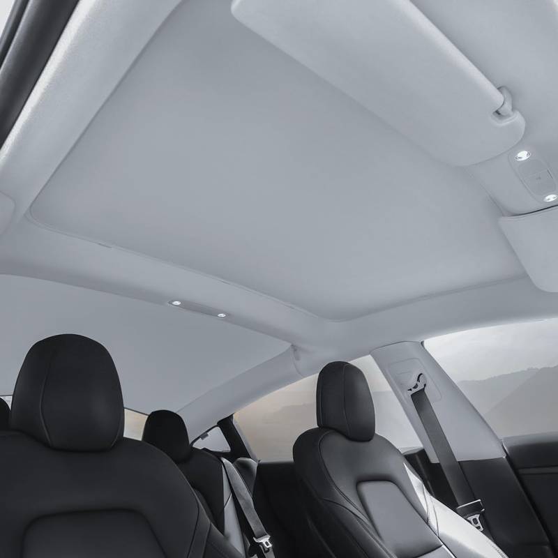 VION Tesla 2023-2021 Model 3 Dachsonnenschutz - Passgenau, vollständige Verdunkelung (Nur Kompatibel mit dem Model 3 2023-2021 aus der Shanghai/China-Fabrik) von VION