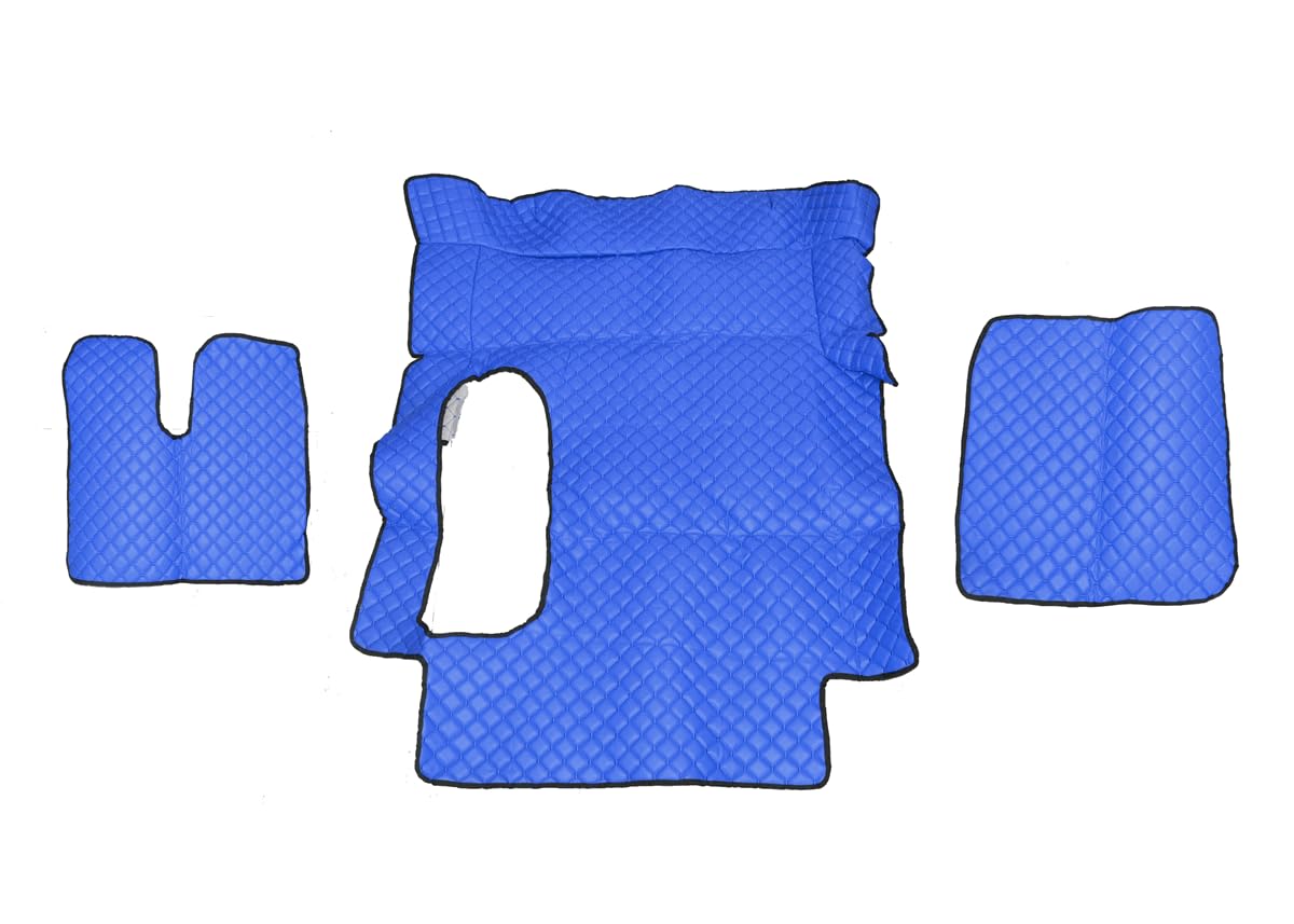 Fußmatten, Eco-Leder, kompatibel mit Man TGA Automatik, Blau von VNVIS