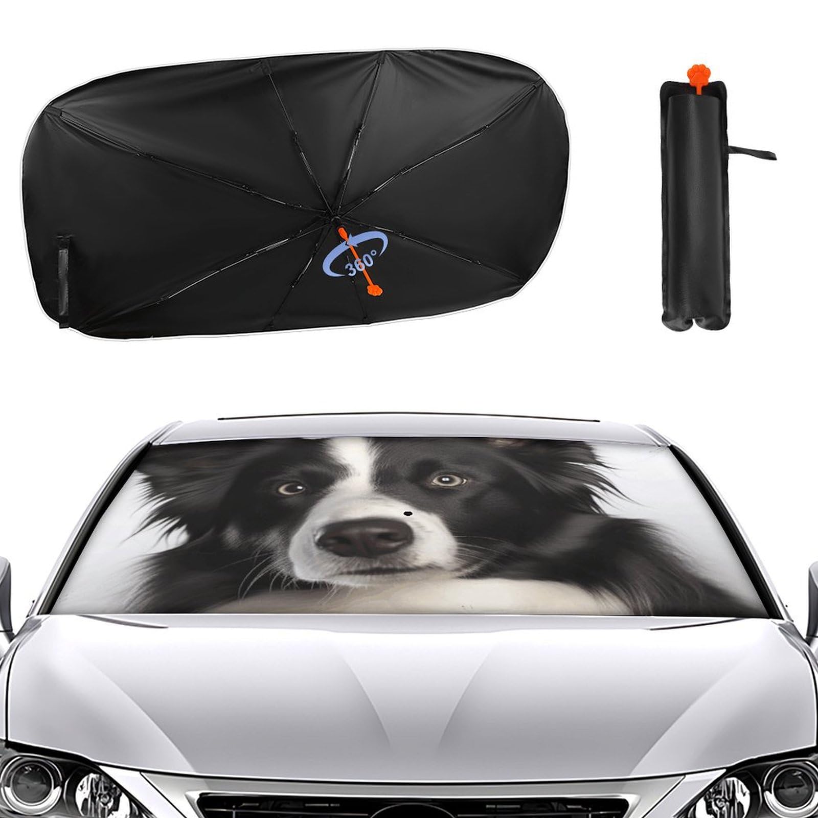 Windschutzscheiben-Sonnenschutz für die Windschutzscheibe 2024, verbesserter Sonnenschutz, Border Collie, Sonnenschutz, Auto-Blocker, Fenster-Sonnenschutz Windschutzscheiben-Sonnenschutz für die Windschutzscheibe 2024, verbesserter Sonnenschutz, Border Collie, Sonnenschutz, Auto-Blocker, Fenster-Sonnenschutz von VTCTOASY