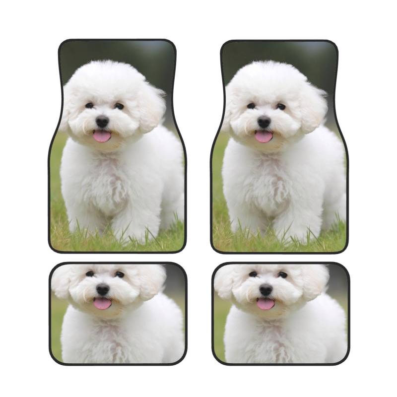 Bichon Frise Hund Gedruckt Auto Fußmatten Set 4 Stück | Fußmatten Schutz für Autos Komplette Sets | Rutschfeste & wasserdichte Automotive Fußmatten von VVTDESA