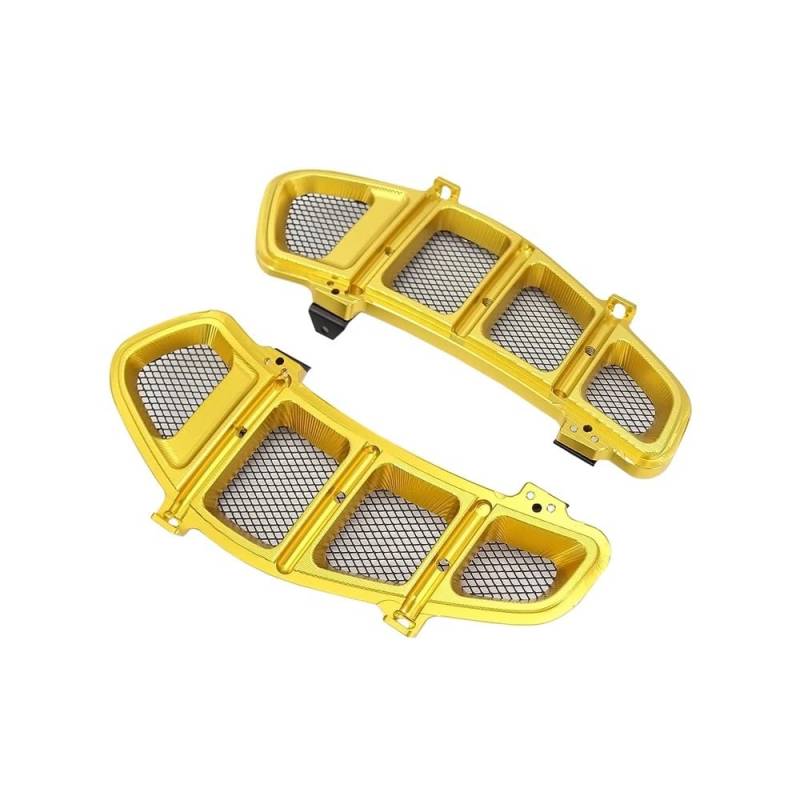Motorrad-Kühlerschutzgitter für GTS250 GTS 250 GTS 300 GTS300 2013-2020 2019, Schutzabdeckung für Motorrad-Kühlergrill, Innenluftgitter von VXJZBIOT
