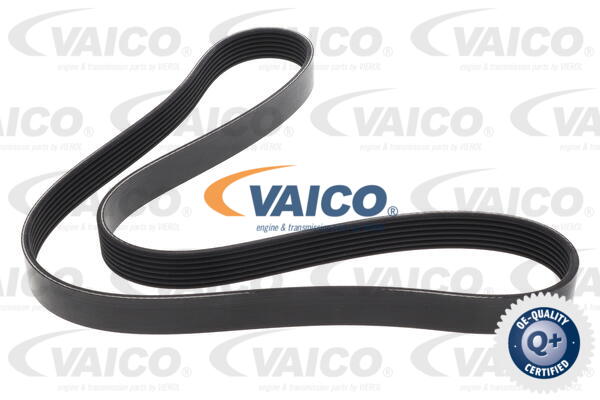 Keilrippenriemen Vaico V24-1209 von Vaico