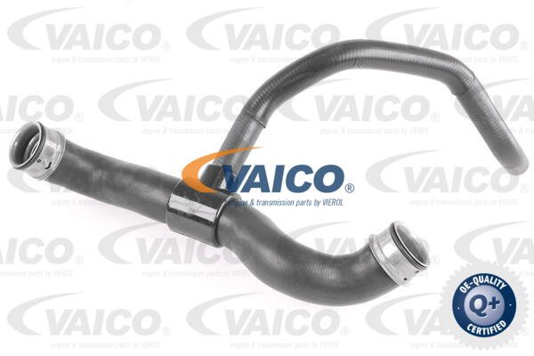 Kühlerschlauch unten Vaico V30-2903 von Vaico